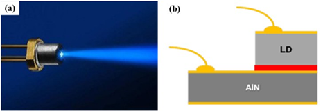 blue light LD device and schematic diagram of LD packaged with DBC substrate